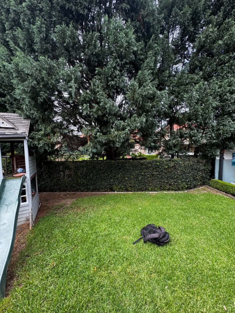 Messenger_creation_7415F0BF-DCD0-4AA5-876C-942C94335848